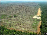 Área desmatada na Amazônia