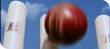 Cricket