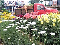 Pic by Beth Galloway of Mary's winning design 