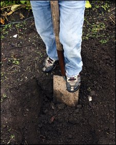 Digging the garden