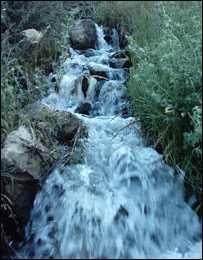 آب آشاميدنی