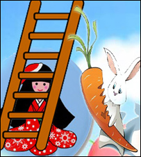  خورجين بنجاره