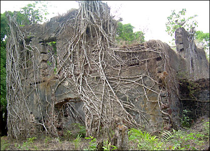 Part of the bunce island ruined fort
