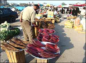 امير مختاری زاده