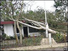 Cây đổ ở Rangoon