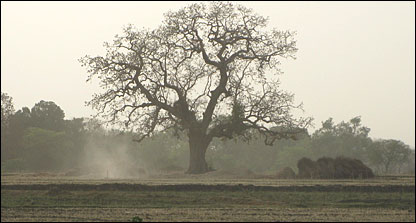 चित्रकुट