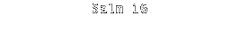 Salm 16