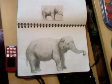 Elephant