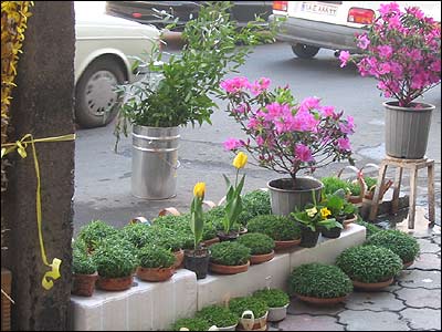 خریدهای نوروزی