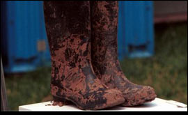 Muddy wellies