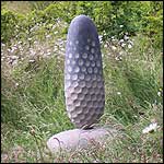 Honey Daisy by Stephen Cox