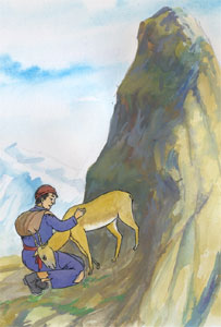 حسن او هوسۍ