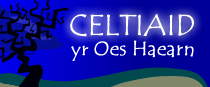 Y Celtiaid