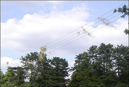 A whirlwind hits Bewdley