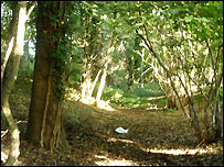 Grim's Ditch, close to the Glyme Valley Way 