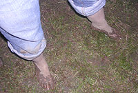 Mwd maes Sioe Llandysul