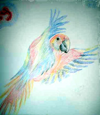 Parrot In Flight