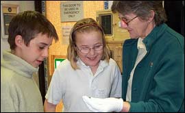 The kids look at a baby bat