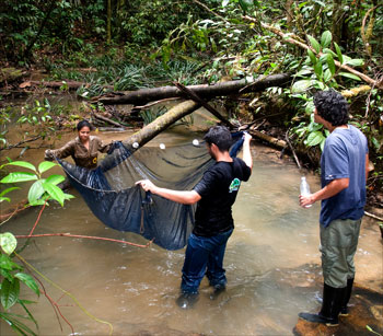 foto: Adriano Gambarini/Conservation International