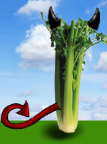 Celery