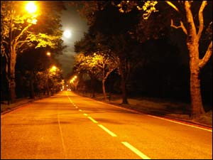 عکس از شاهین زبرجد