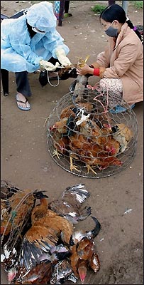 Tiêm ngừa ở Thanh Mai, cách Hà Nội 30 km