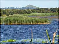 Shapwick Heath c/o English Nature