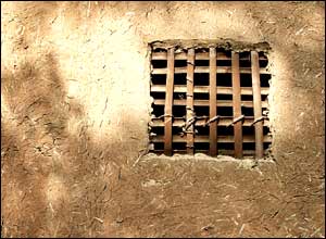 عکس از مليکا محمودی