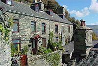 Bythynnod Talbot (Llun: John Pugh)