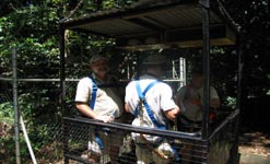 Entomolgist Nigel Stork of James Cook University (facing) and Andrew Luck-Baker prepare to ascend to the treetops.