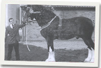 llun o'r ceffyl buddugol