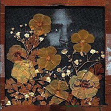 Review of Fear Of A Black Tangent