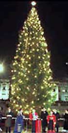 Coeden Nadolig draddodiadol