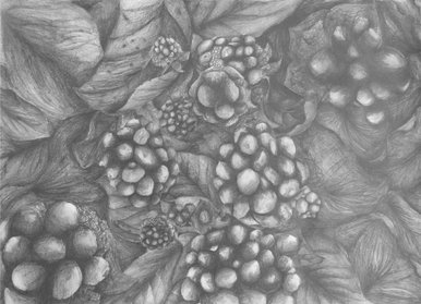 up close and personal