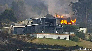 Вогонь на Тасманії