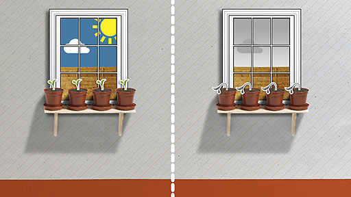 A bright windowsill with healthy plants, and a gloomy one with withered plants