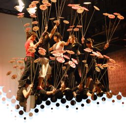 Video: Monkeying Around