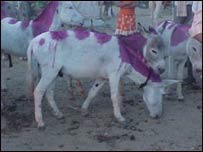 राजस्थान में गधों का मेला