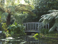 Palmer Bridge at Trengwainton