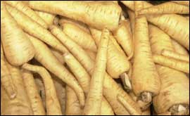 Parsnips