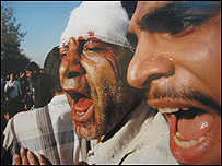 عکس از مهدی قاسمی