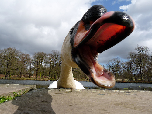 i'ts not the same photo