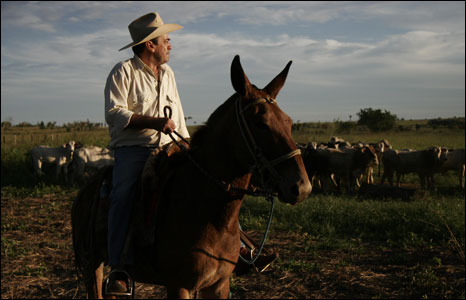 Carlos Alberto Guimaraes