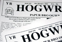 Yr Hogwr heddiw