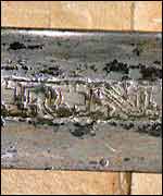 The inscription on the Cawood Sword