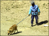 يو تن ماين پاک