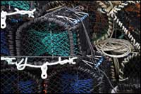 crab pots