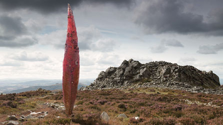 Still taken from Sean Vicary's Lament. Image courtesy of the artist