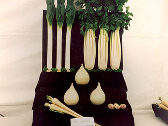 Casgliad o 6 o lysiau