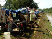 Một đoạn đê tại Thanh Hóa 